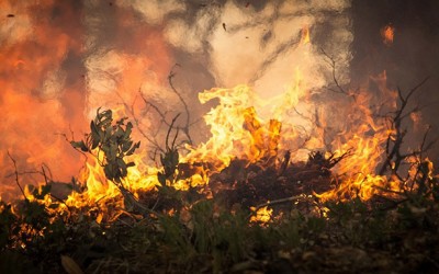 12 detenidos y 5 investigados por incendios forestales en Cáceres en lo que va de año