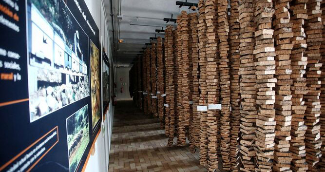 El museo andaluz del corcho